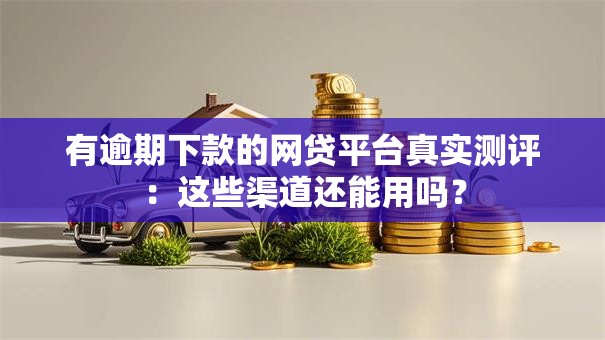 有逾期下款的网贷平台真实测评：这些渠道还能用吗？