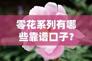 零花系列有哪些靠谱口子？这些低门槛贷款渠道值得试试