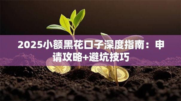2025小额黑花口子深度指南：申请攻略+避坑技巧