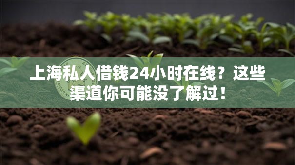 上海私人借钱24小时在线？这些渠道你可能没了解过！