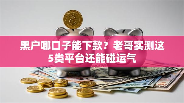 黑户哪口子能下款？老哥实测这5类平台还能碰运气