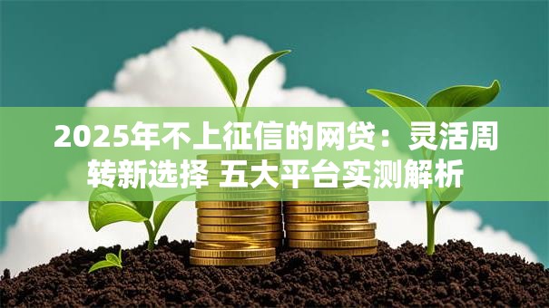 2025年不上征信的网贷：灵活周转新选择 五大平台实测解析