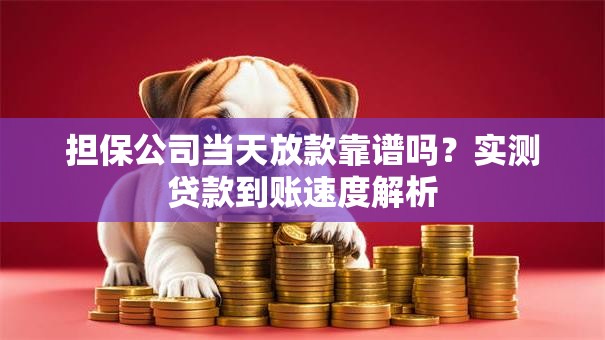 担保公司当天放款靠谱吗？实测贷款到账速度解析