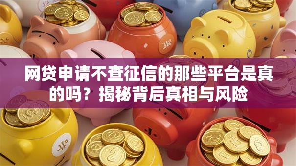 网贷申请不查征信的那些平台是真的吗？揭秘背后真相与风险