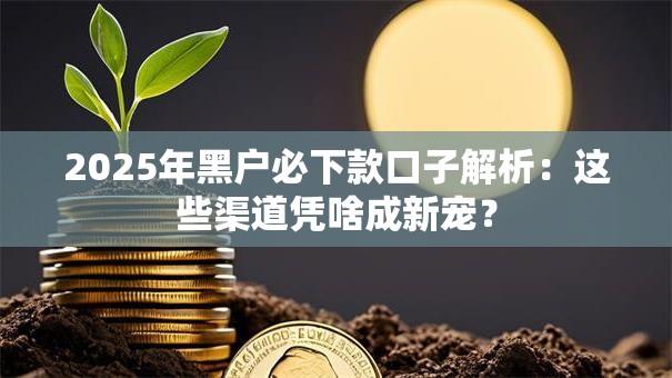 2025年黑户必下款口子解析：这些渠道凭啥成新宠？