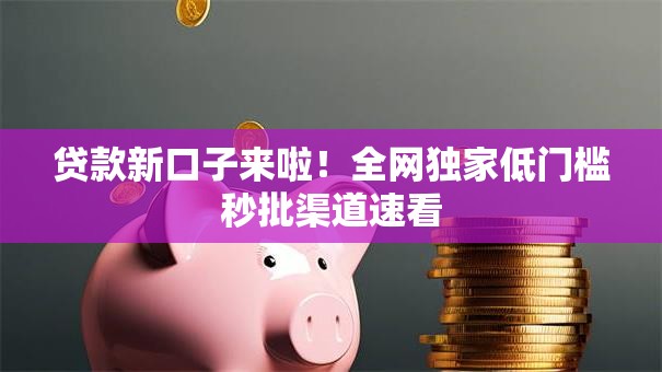 贷款新口子来啦！全网独家低门槛秒批渠道速看