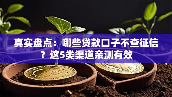 真实盘点:哪些贷款口子不查征信?这5类渠道亲测有效 真实盘点:哪些贷款口子不查征信?这5类渠道亲测有效