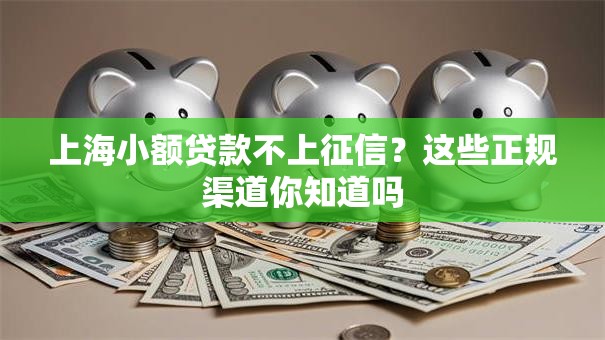 上海小额贷款不上征信？这些正规渠道你知道吗