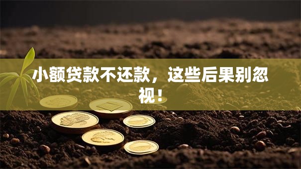 小额贷款不还款，这些后果别忽视！