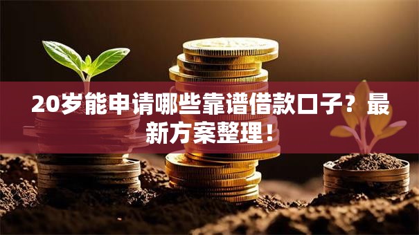 20岁能申请哪些靠谱借款口子？最新方案整理！