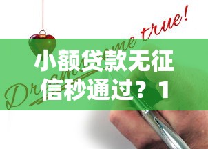 小额贷款无征信秒通过？18岁以上必看的申请真相