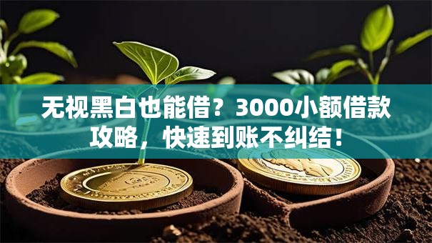 无视黑白也能借？3000小额借款攻略，快速到账不纠结！