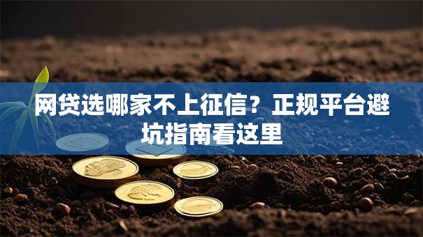 网贷选哪家不上征信？正规平台避坑指南看这里