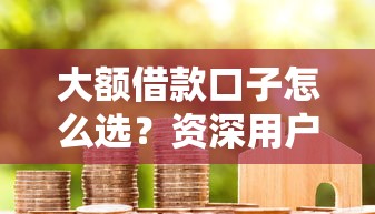 大额借款口子怎么选？资深用户实测推荐+避坑指南