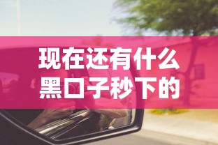 现在还有什么黑口子秒下的？这些渠道可能被你忽略了