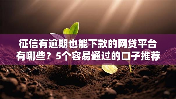 征信有逾期也能下款的网贷平台有哪些？5个容易通过的口子推荐