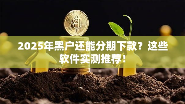 2025年黑户还能分期下款？这些软件实测推荐！
