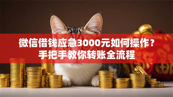 微信借钱应急3000元如何操作？手把手教你转账全流程