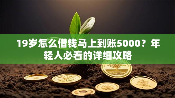 19岁怎么借钱马上到账5000?年轻人必看的详细攻略 19岁怎么借钱马上到账5000?年轻人必看的详细攻略