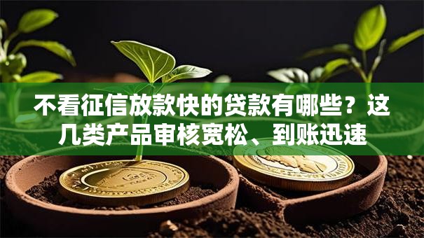 不看征信放款快的贷款有哪些?这几类产品审核宽松、到账迅速 不看征信放款快的贷款有哪些?这几类产品审核宽松、到账迅速