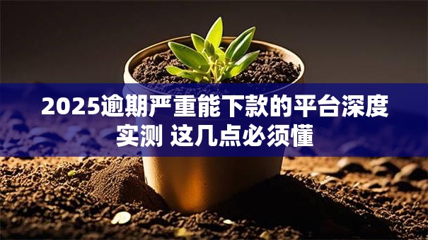 2025逾期严重能下款的平台深度实测 这几点必须懂