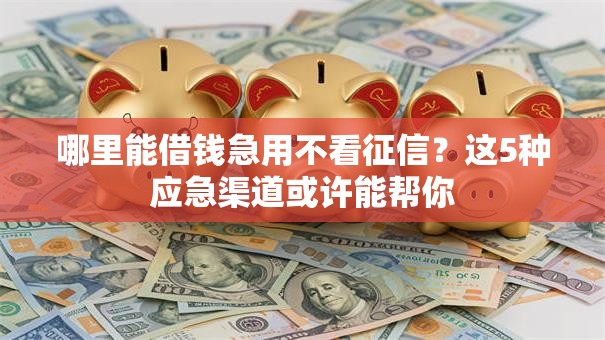 哪里能借钱急用不看征信?这5种应急渠道或许能帮你 哪里能借钱急用不看征信?这5种应急渠道或许能帮你