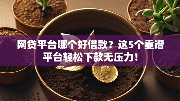 网贷平台哪个好借款？这5个靠谱平台轻松下款无压力！
