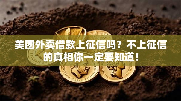 美团外卖借款上征信吗?不上征信的真相你一定要知道! 美团外卖借款上征信吗?不上征信的真相你一定要知道!
