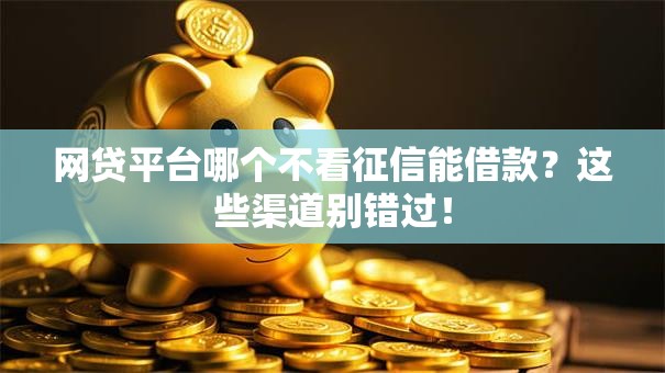 网贷平台哪个不看征信能借款？这些渠道别错过！