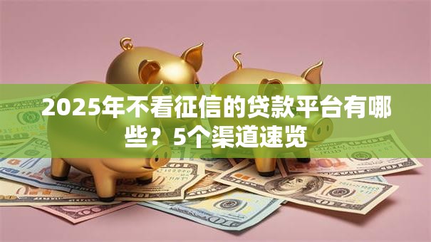 2025年不看征信的贷款平台有哪些？5个渠道速览