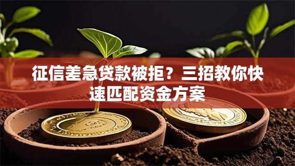 征信差急贷款被拒？三招教你快速匹配资金方案