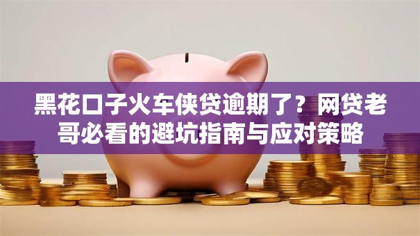 黑花口子火车侠贷逾期了？网贷老哥必看的避坑指南与应对策略