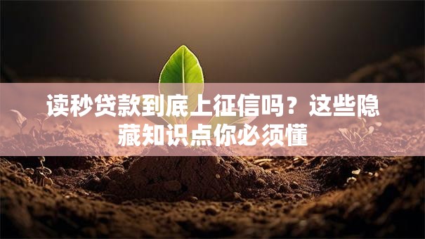 读秒贷款到底上征信吗？这些隐藏知识点你必须懂