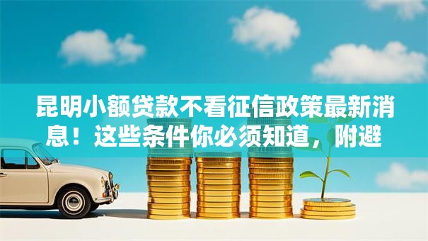昆明小额贷款不看征信政策最新消息！这些条件你必须知道，附避坑指南
