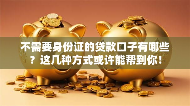 不需要身份证的贷款口子有哪些？这几种方式或许能帮到你！