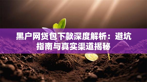黑户网贷包下款深度解析:避坑指南与真实渠道揭秘 黑户网贷包下款深度解析:避坑指南与真实渠道揭秘