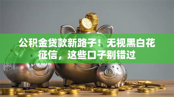 公积金贷款新路子！无视黑白花征信，这些口子别错过