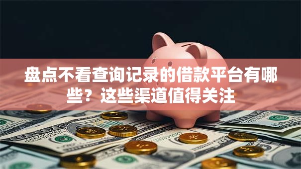 盘点不看查询记录的借款平台有哪些？这些渠道值得关注