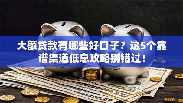 大额贷款有哪些好口子？这5个靠谱渠道低息攻略别错过！