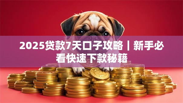 2025贷款7天口子攻略｜新手必看快速下款秘籍