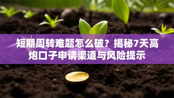 短期周转难题怎么破?揭秘7天高炮口子申请渠道与风险提示 短期周转难题怎么破?揭秘7天高炮口子申请渠道与风险提示