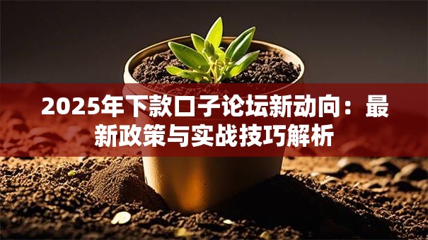 2025年下款口子论坛新动向：最新政策与实战技巧解析