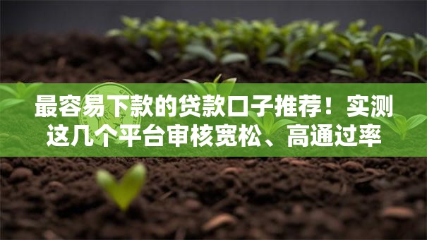 最容易下款的贷款口子推荐!实测这几个平台审核宽松、高通过率 最容易下款的贷款口子推荐!实测这几个平台审核宽松、高通过率