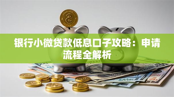 银行小微贷款低息口子攻略:申请流程全解析 银行小微贷款低息口子攻略:申请流程全解析
