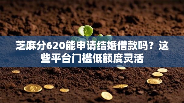 芝麻分620能申请结婚借款吗?这些平台门槛低额度灵活 芝麻分620能申请结婚借款吗?这些平台门槛低额度灵活