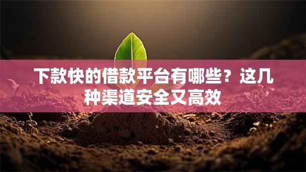 下款快的借款平台有哪些？这几种渠道安全又高效