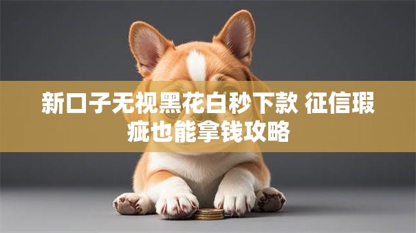 新口子无视黑花白秒下款 征信瑕疵也能拿钱攻略