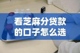 看芝麻分贷款的口子怎么选?实测这5个方法靠谱又省心 看芝麻分贷款的口子怎么选?实测这5个方法靠谱又省心