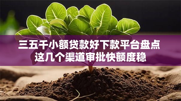 三五千小额贷款好下款平台盘点 这几个渠道审批快额度稳 三五千小额贷款好下款平台盘点 这几个渠道审批快额度稳