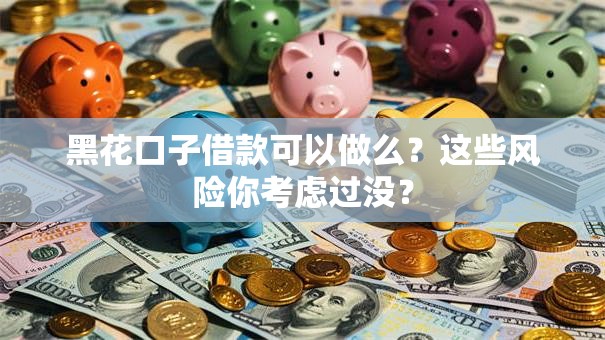 黑花口子借款可以做么？这些风险你考虑过没？